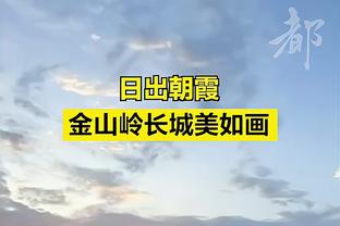 半岛电子体育竞技平台官网截图2